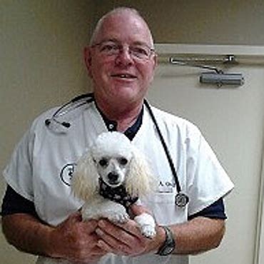 San juan animal hospital - Our new owner, Dr. Randall Bondurant, is honored to have been selected to continue the legacy of quality care Dr. Mannix and the San Juan staff is known for. Dr. Bondurant is excited to lead San Juan Animal Hospital into its next phase of cutting edge veterinary medicine in a warm, caring, and compassionate atmosphere. 